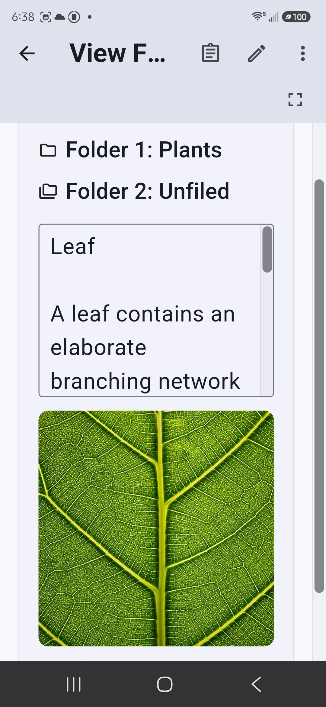 Leaf